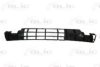 VW 357853677B01C Radiator Grille
